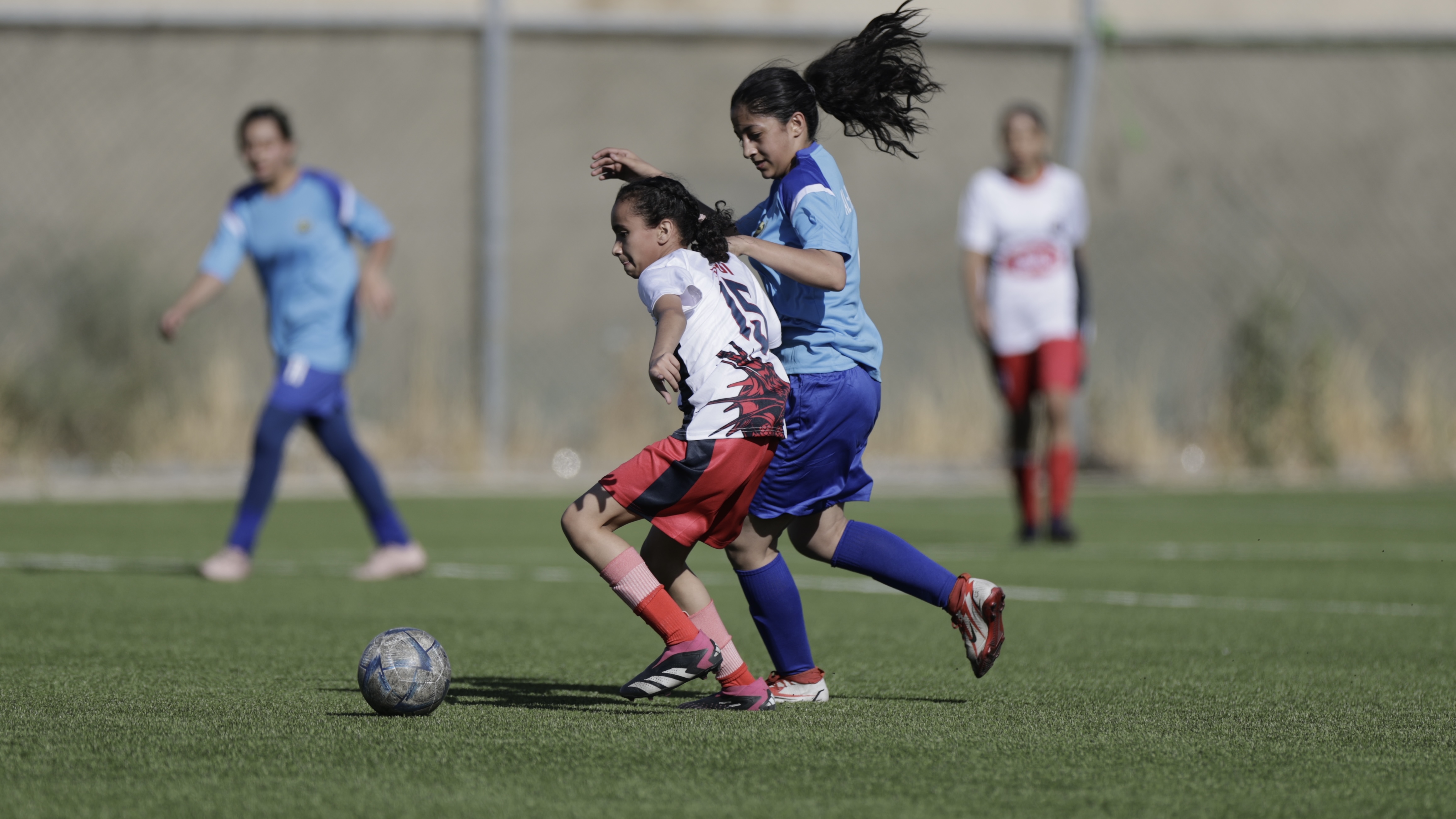 اختتام منافسات الجولة الأولى من الدوري النسوي ت14