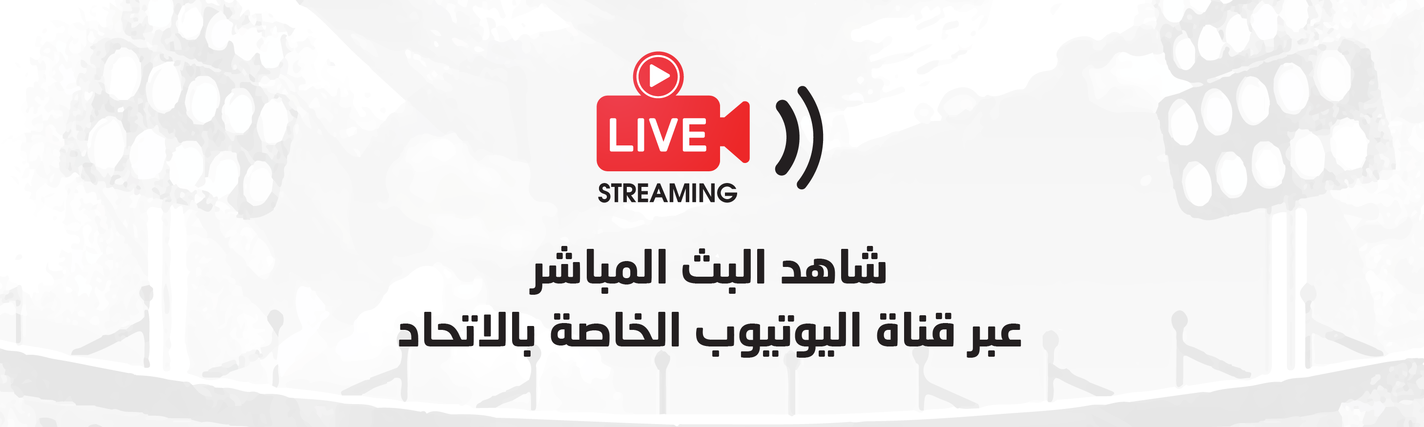 Live Stream